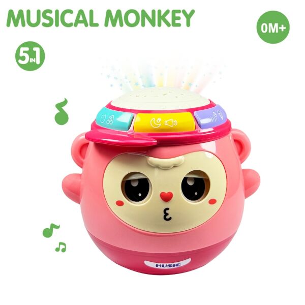 VAR-BIB-6005 MAYMUN PROJEKSIYON 5 I BIR ARADA 36