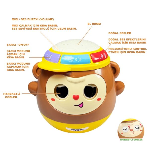 VAR-BIB-6005 MAYMUN PROJEKSIYON 5 I BIR ARADA 36