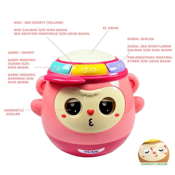 VAR-BIB-6005 MAYMUN PROJEKSIYON 5 I BIR ARADA 36