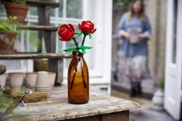 ADOL-LFL40460 ROSES 4