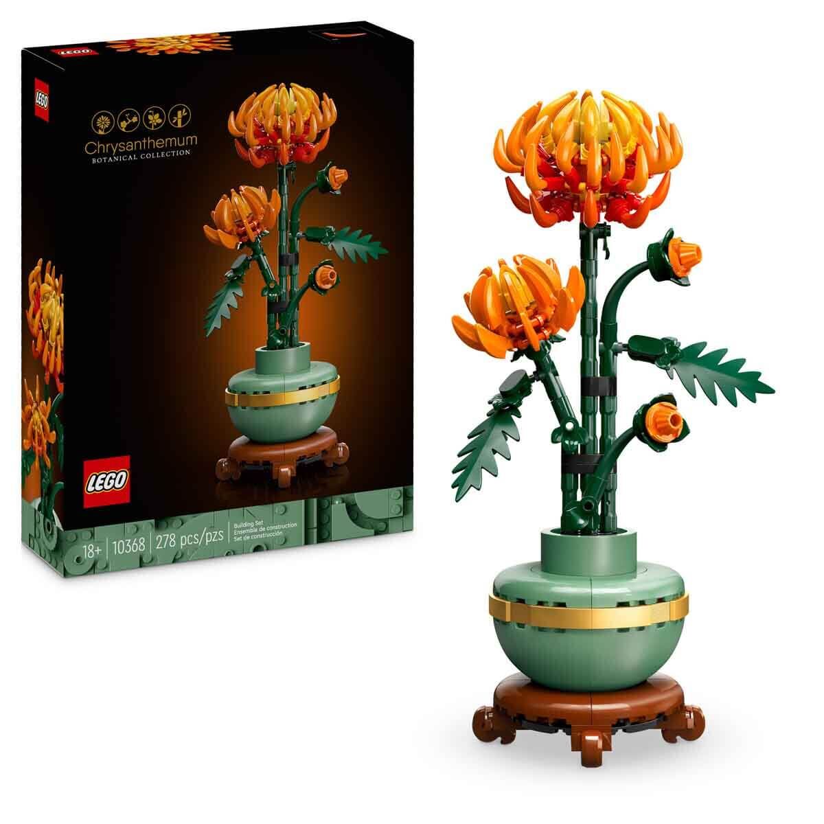 ADOL-LAD10368 CHRYSANTHEMUM 6