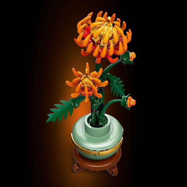 ADOL-LAD10368 CHRYSANTHEMUM 6