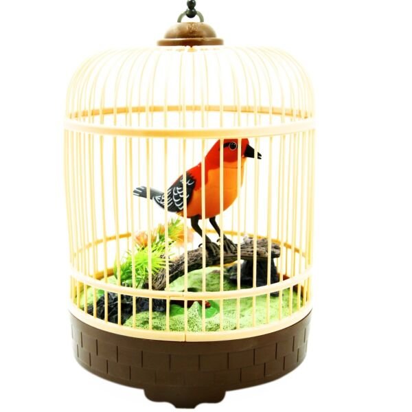 VAR-HL507B-D-F KUTULU KAFESLI  BUYUK KUS 24