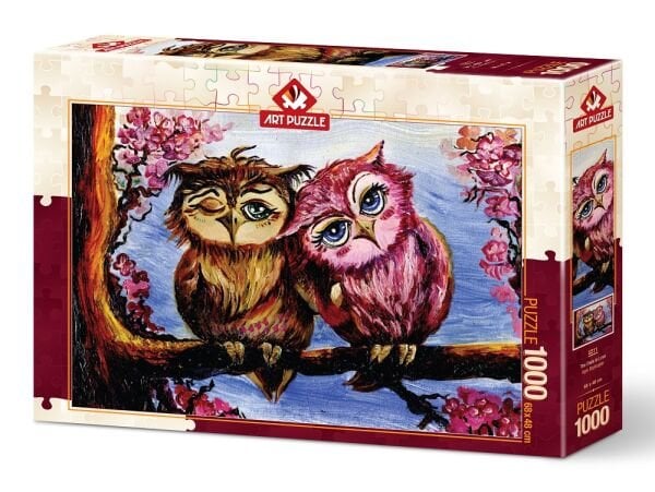 HD-5211 ART PUZZLE 1000 PRC. ASIK BAYKUSLAR 6