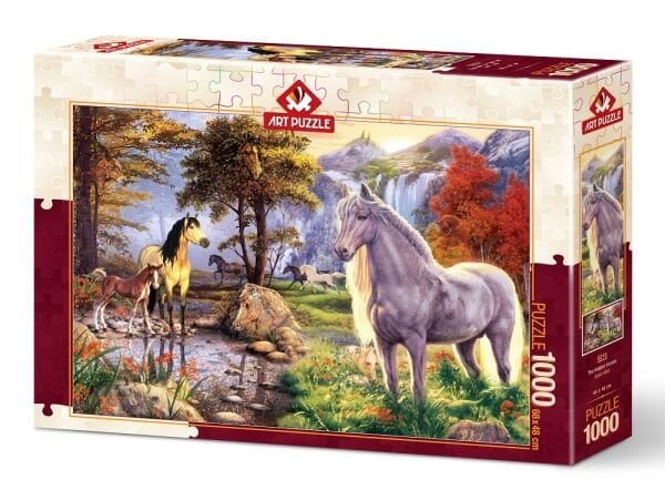 HD-5215 ART PUZZLE 1000 PRC. ASKLI ATLAR 6