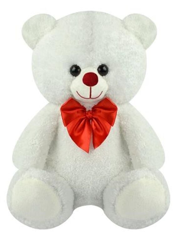 HAL-PL62543 30 CM AYI 48