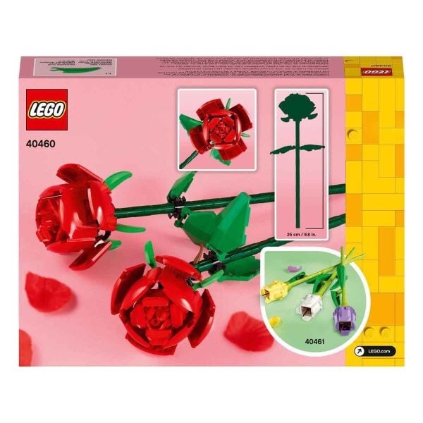 ADOL-LFL40460 ROSES 4 STANDLI