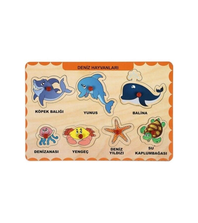 CAO-3212 AHSAP DENIZ HAYVANLARI BULTAK 60