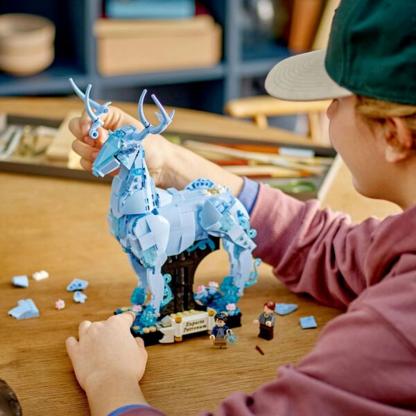 ADOL-LSH76414 EXPECTO PATRONUM 3