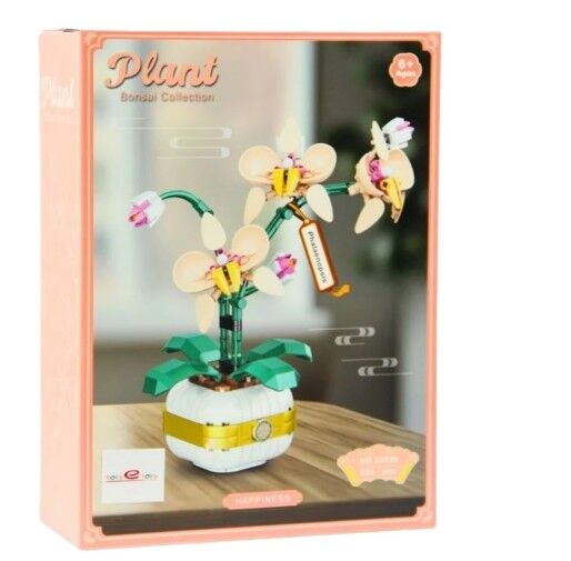 EKC-33039 BRICKS PLANT COLLECTION PHALAENOPSIS 12
