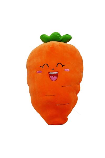 HAL-PL62306 50 CM HAVUC PATLICAN MISIR YASTIK 24