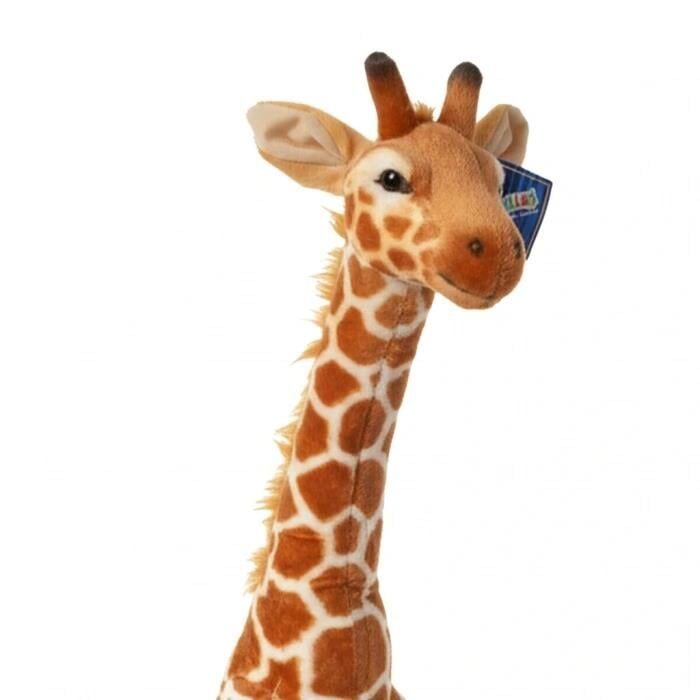 HAL-PL62445 115 CM ZURAFA 5