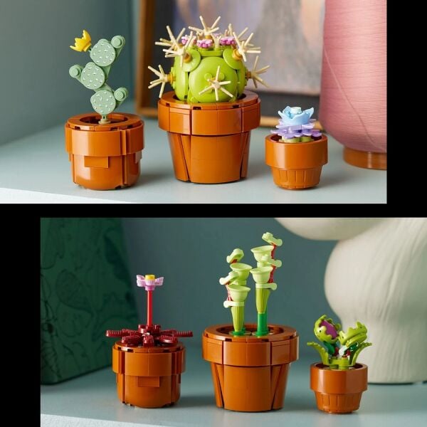 ADOL-LAD10329 TINY PLANTS 4