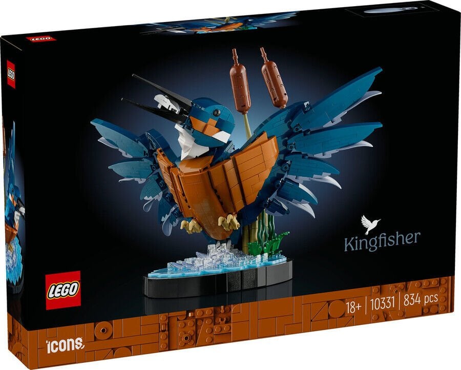 ADOL-LAD10331 KINGFISHER BIRD 4