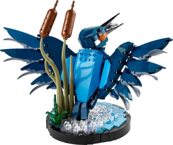 ADOL-LAD10331 KINGFISHER BIRD 4