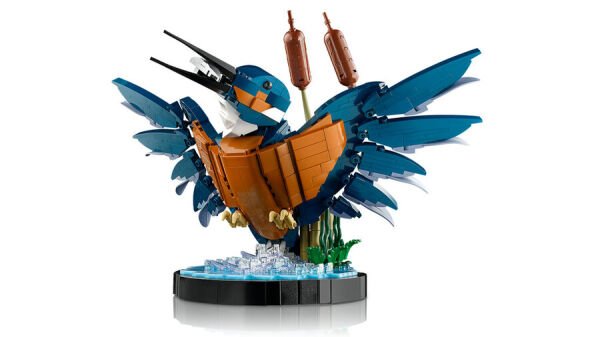 ADOL-LAD10331 KINGFISHER BIRD 4