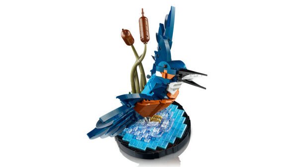 ADOL-LAD10331 KINGFISHER BIRD 4