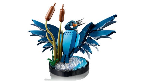 ADOL-LAD10331 KINGFISHER BIRD 4