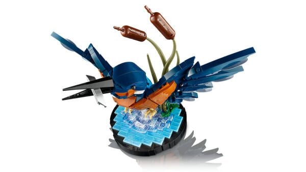 ADOL-LAD10331 KINGFISHER BIRD 4