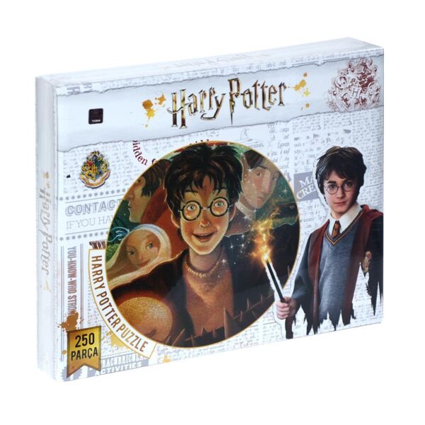 UTKU-HP7565 HARRY POTTER 250 PARCA PUZLLE 48
