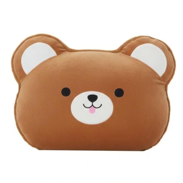 HAL-PL50155 40 CM ASORTI YASTIK 22