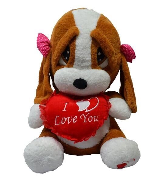 HAL-PL62210 60 CM UZGUN KOPEK 6