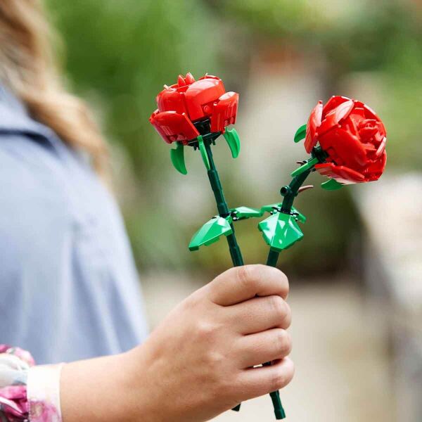 ADOL-LFL40460 ROSES 4