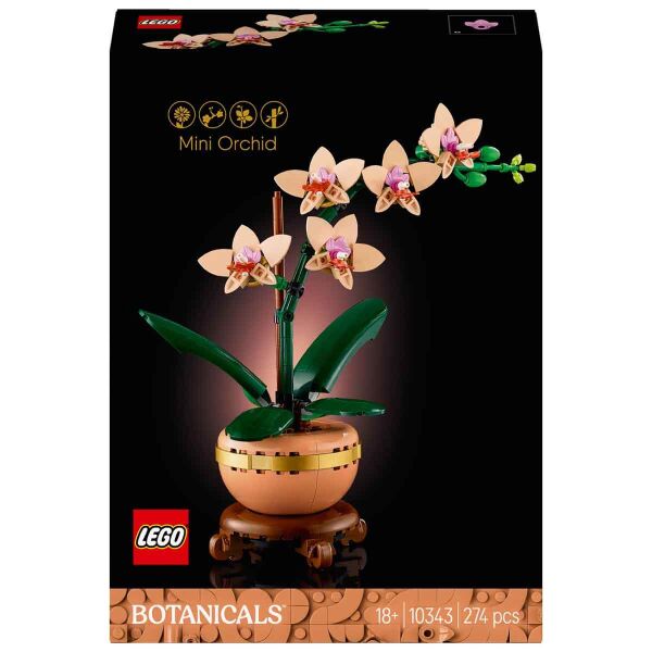 ADOL-LAD10343 MINI ORKIDE 6