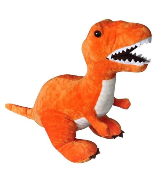 SLY-4403 SEVIMLI DINAZOR 50X30 CM 40