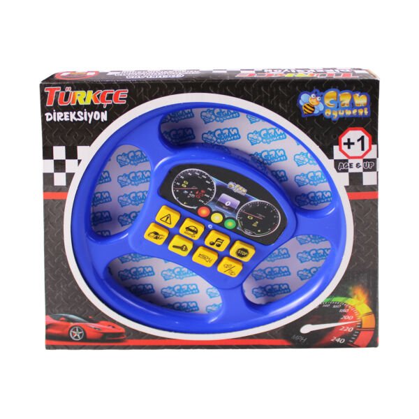 HCT-BT-267 KUT PILLI TURKCE DIREKSIYON 36