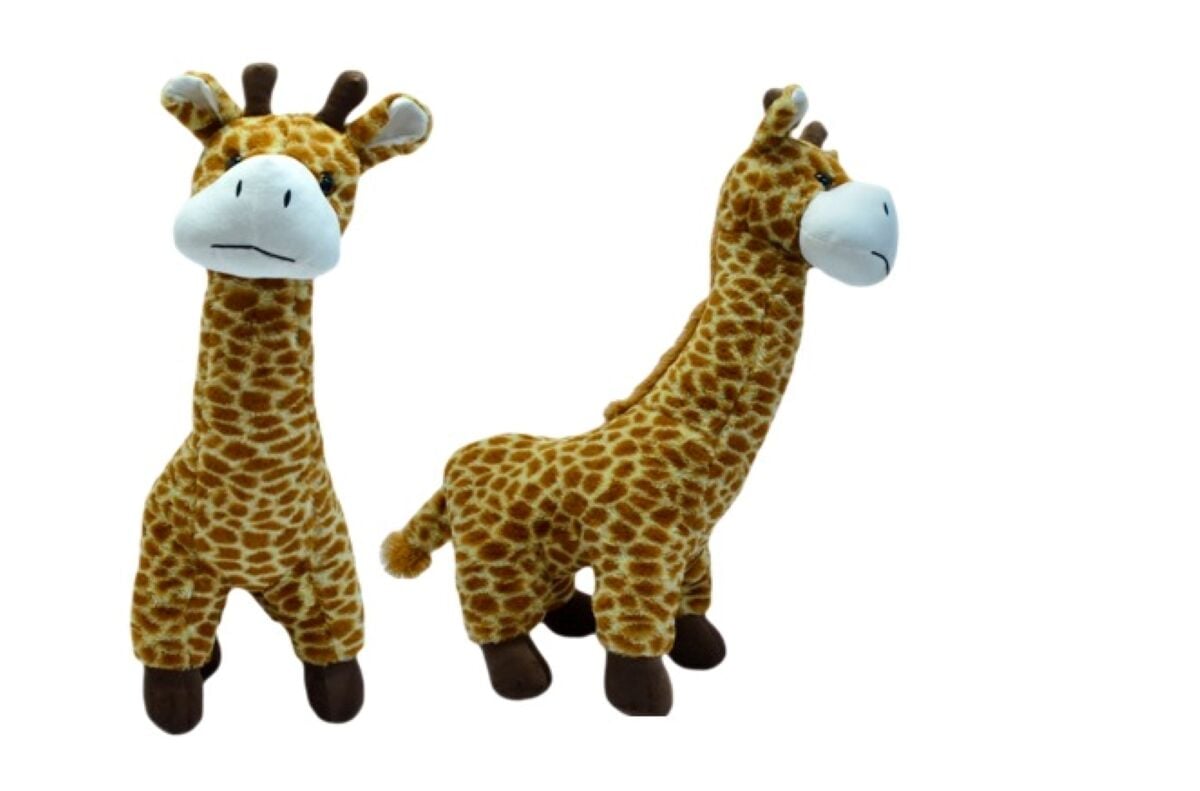 HAL-PL62594 60 CM ZURAFA 22