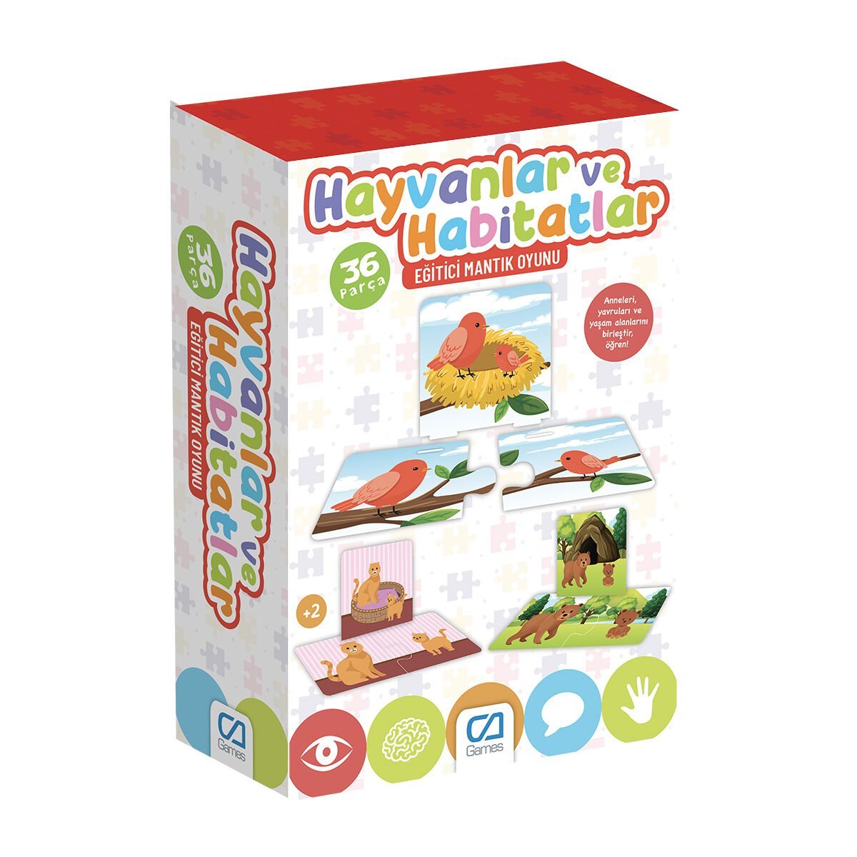 CAO-5149 HAYVANLAR VE HABITATLAR 24