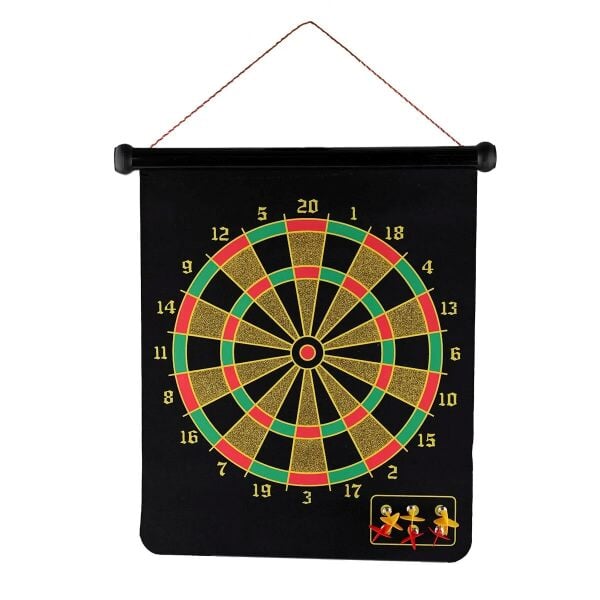 PRJ-8017 17 INC MIKNATISLI DART 24