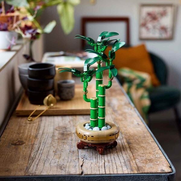 ADOL-LAD10344 SANS BAMBUSU 6