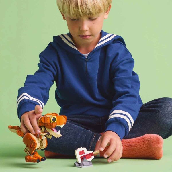 ADOL-LJW76967 LITTLE EATIE REX 6