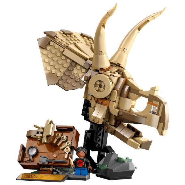 ADOL-LJW76969 FOSIL TRICERATOPS KAFATASI 4