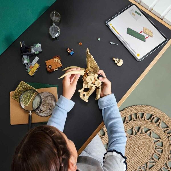 ADOL-LJW76969 FOSIL TRICERATOPS KAFATASI 4