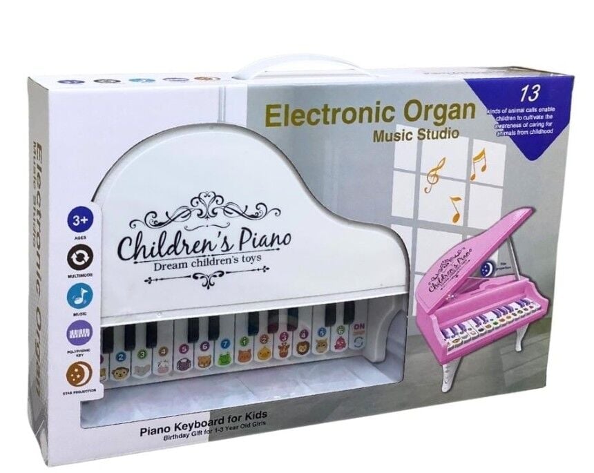 CAN-918-1 KUTULU PIANO 24