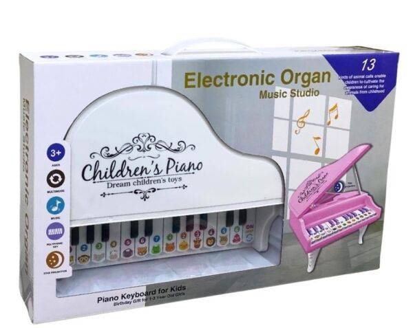 CAN-918-1 KUTULU PIANO 24