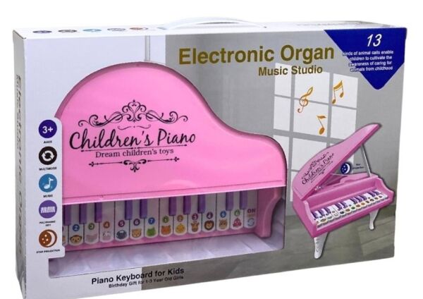 CAN-918-1 KUTULU PIANO 24