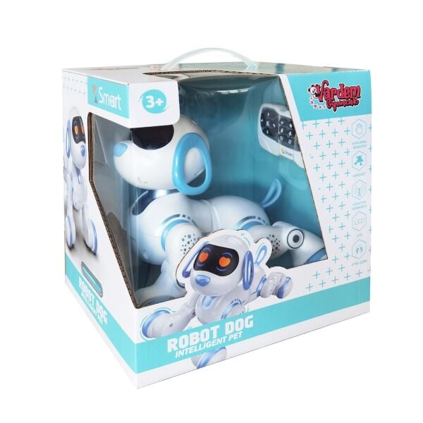 VAR-GAW-6601 UK SARJLI INTERAKTIF AKILLI ROBOT 12