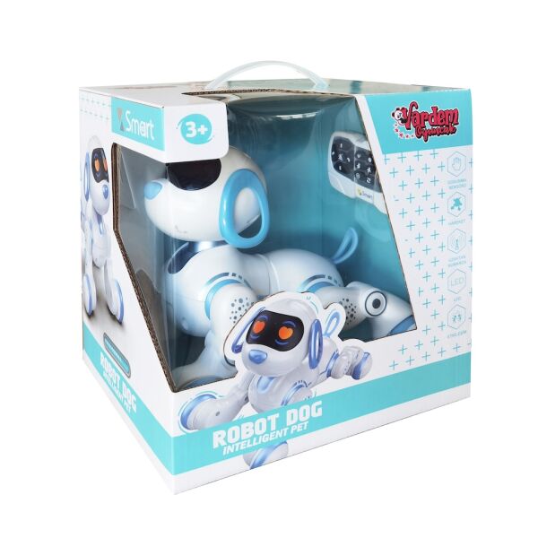 VAR-GAW-6601 UK SARJLI INTERAKTIF AKILLI ROBOT 12