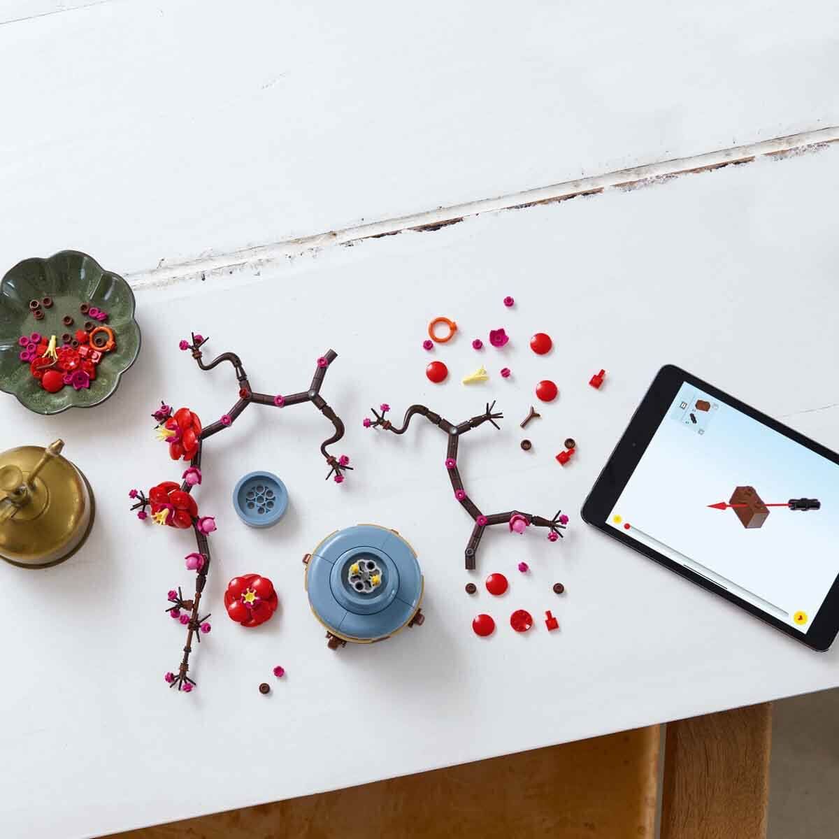 ADOL-LAD10369 PLUM BLOSSOM 6