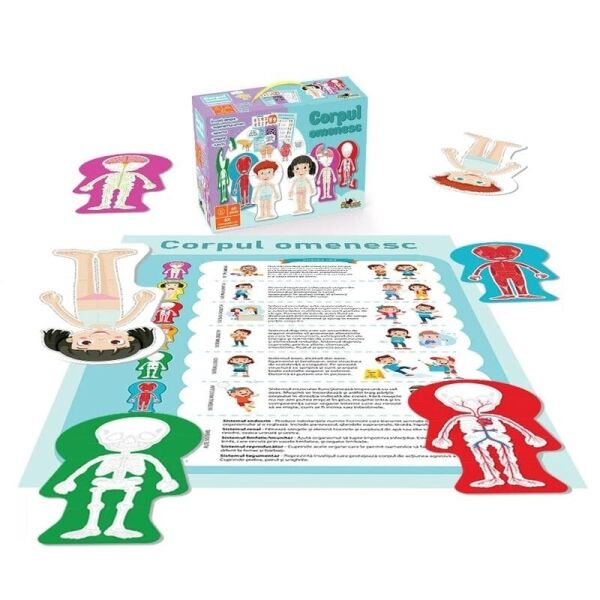 SUN-S00005434 BULMACA INSAN VUCUDU 6