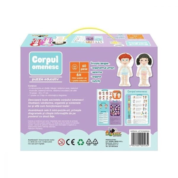 SUN-S00005434 BULMACA INSAN VUCUDU 6