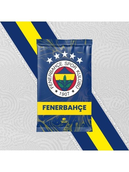 ASEP-88289 FENERBAHCE PRE-SEASON 2025-2026