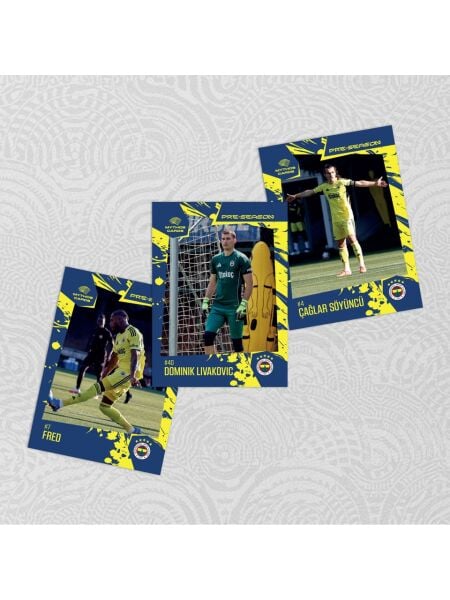 ASEP-88289 FENERBAHCE PRE-SEASON 2025-2026