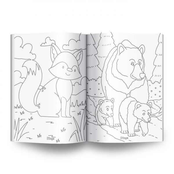 BT-T10100 HAYVANLARIN DUNYASI 48 SYF 24