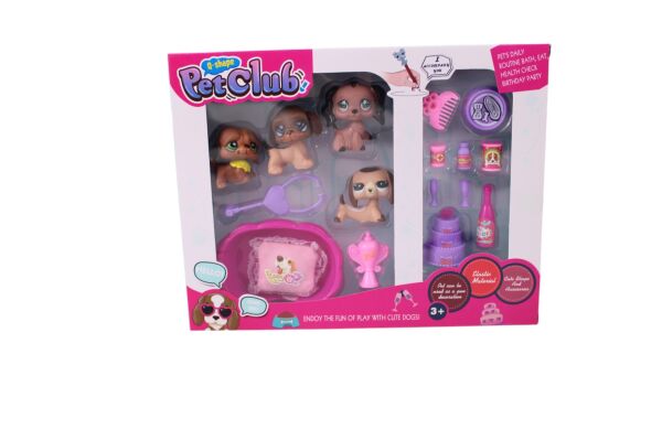 KZL-CL2105ABC 4 LU MINISLER EXTRA 3 AST  48