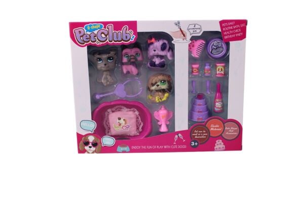 KZL-CL2105ABC 4 LU MINISLER EXTRA 3 AST  48